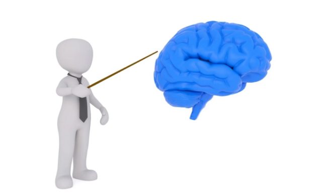 中小企業の人事担当者が知っておくべきストレスチェック実務のポイント